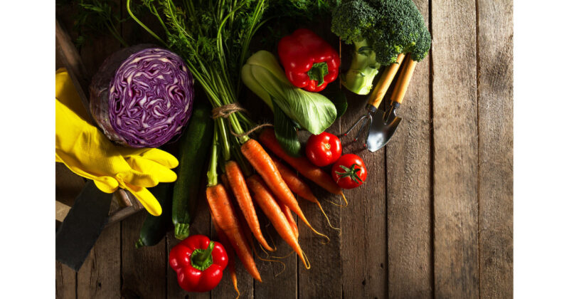 オーガニック野菜ジュースで作るゼリーレシピ丨無添加かつ節約で一石二鳥！